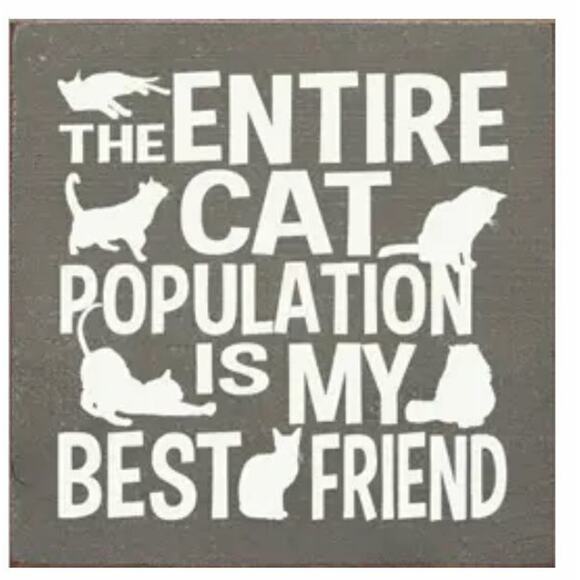 New Folk Art Country Entire Cat Population is my Friend Kitty Wood SIGN USA Made - Picture 1 of 1